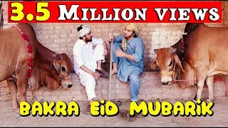 Bakra Eid mubarik l Peshori vines Official [upl. by Imiaj971]