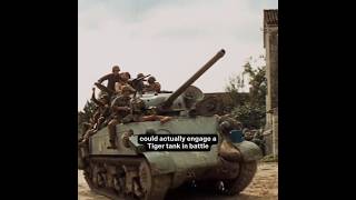 Kellys Heroes Did Sherman Tanks Really Stand a Chance Against Tiger Tanks  shorts short [upl. by Tiat367]