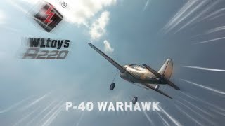 WL Toys XK A220  P40 Fighter RC [upl. by Flatto]