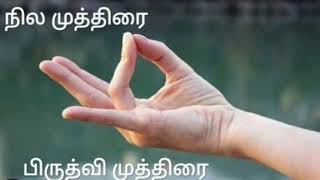 நில முத்திரை  பிருத்வி முத்திரை  பலன்கள் [upl. by Floria120]