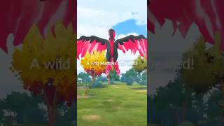 Galarian Moltres Encounter in Pokemon Go But Did It Catch pokemon shorts [upl. by Iila]