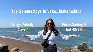 Top 5 HOMESTAYS in Velas 😍 AFFORDABLE PRICE  Under 1000 per person🤯 Velas Turtle Festival🐢 [upl. by Agathe]