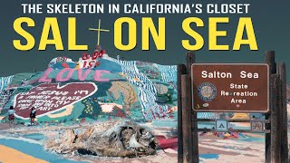 The Salton Sea The Skeleton in Californias Closet [upl. by Asirahc592]