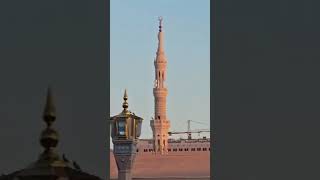 tranding youtubeshorts makkah 🕋✅❤️🥰❣️🥰 [upl. by Mathur]