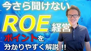 ROEとは？ROEを経営指標にするポイントを分かりやすく解説します！ [upl. by Aisha]