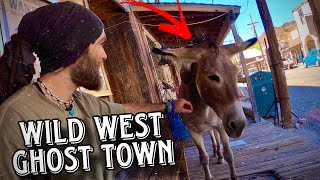 A Western Ghost Town Frozen in Time  The Story of Oatman Arizona [upl. by Bartolomeo]