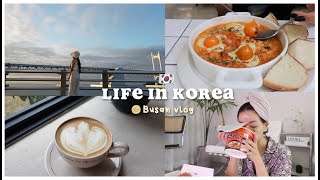 LIFE IN BUSAN 🇰🇷 how I spent my time alone 3 skincare  cafe vlog  Erna Limdaugh [upl. by Teiv201]