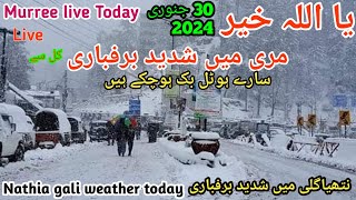 murree Murree live today Murree snowfall 30 January 2024  nathia gali today snowfall nathiagali [upl. by Frasier]