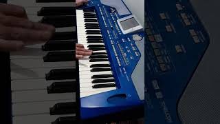 Hicaz Çiftetelli İntro Korg Pa800 shorts [upl. by Erminna978]