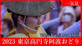 【一気見】東京高円寺阿波おどり Tokyo Koenji Awa Odori [upl. by Orecic]