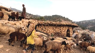 Iranian Nomadic Family Daily Life  Nomadic amp Village Lifestyle Of Iran [upl. by Hernardo979]