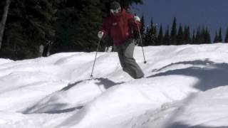 Telemark Bumps [upl. by Perrins]