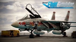 Just   WOW  Heatblur Arrive in MSFS  F14 Tomcat Review Flight  Microsoft Flight Simulator [upl. by Essirahc]