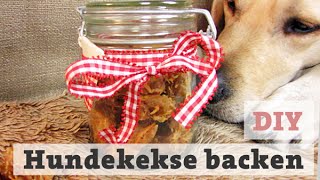 HUNDEKEKSE BACKEN  Thunfisch LECKERLI für HUND  KATZE selber backen DIY [upl. by Buchheim]