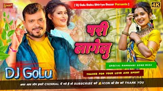 Pari Lagelu Pramod Premi Vibration Bass Mix DJ Golu Babu Bhiriya Bazar Basti [upl. by Elleinahc565]