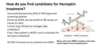 Herceptin Trastuzumab Side Effects and Screening [upl. by Tidwell937]