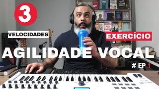 Melisma  Exercício Vocal para Agilidade e Percepção [upl. by Oirottiv]