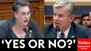 Harriet Hageman Grills Wray About FBI Meetings With Social Media Companies [upl. by Yarased945]