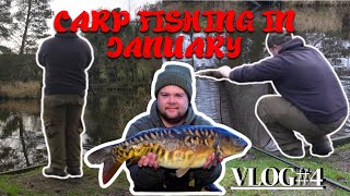 CARP FISHING 2024 MILL LODGE LAKE carpfishing fishing carpy [upl. by Hoseia]