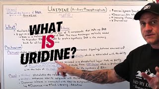 What Is Uridine and The Benefits [upl. by Britta]