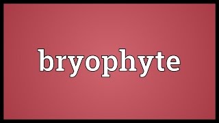 Bryophyte Meaning [upl. by Liana]