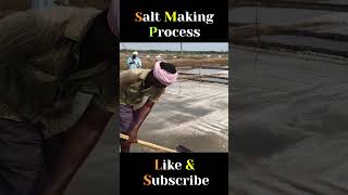 How Salt is Made From Ocean to Table  Inside the Salt Making Process [upl. by Clift]