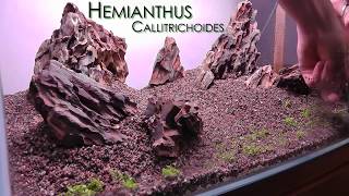 Aquascape Iwagumi Style  Part 2  Planting and Filling HD [upl. by Muldon]