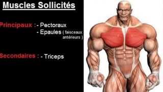 Exercice musculation Pectoraux  quot Développé couché haltères quot [upl. by Tiphanie]