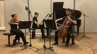 Beethoven Klaviertrio Op 1 Nr 3 in cmoll I Allegro con brio [upl. by Arrio6]