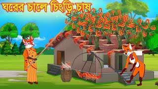 ঘরের চালে চিংড়ি চাষ  Prawn farming in house roof  Fox Cartoon  Bedtime stories  Bangla cartoon [upl. by Naujd]