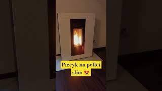 Piec kominek na pellet slim Cadel Luce Plus z DGP 🔥 kominek pellet home [upl. by Melisenda]