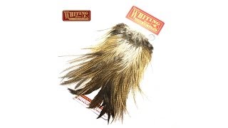 Whiting Coq De Leon Rooster Saddle Fly Tying Feathers [upl. by Rede]