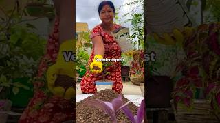 Prepare soil mix for winter flower plants 🪴 ashortaday gardening [upl. by Kampmeier]