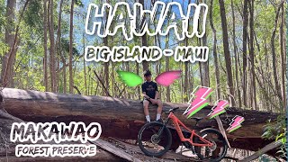 Fly with Kai  Big Island  Maui on eBike [upl. by Yekcin]