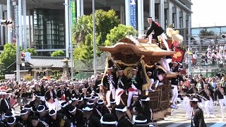 令和6年9月13日 岸和田だんじり祭り試験曳き２日目 中之濱町浮く [upl. by Marsh]