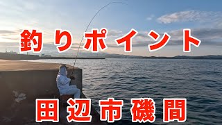 釣りポイント 12th 和歌山県田辺市磯間（磯間漁港） [upl. by Novia]