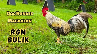 Doc Ronnie Magbalon  RGM Bulik  WGE 2023 Poultry Expo [upl. by Jocelyn]