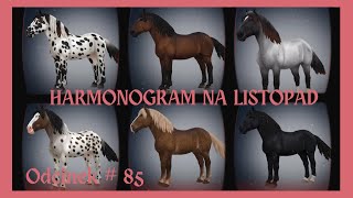 HARMONOGRAM NA LISTOPAD  NORIKERY  NOWE KONIE  odc85 sso starstableonline starstable [upl. by Gideon]