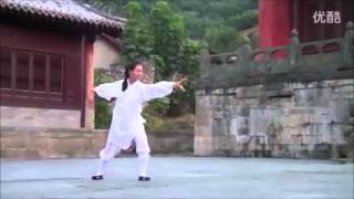 WUDANG DAOIST Five 5 Elements QIGONG by Li Yuan Fei [upl. by Alexis]