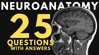 Neuroanatomy practice test 25 questions with answers and explanations [upl. by Yanej]