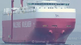 TITANIA  Wallenius Wilhelmsen vehicles carrier  June 2018 [upl. by Young]