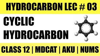 CYCLIC HYDROCARBONS IN DETAIL [upl. by Najram]