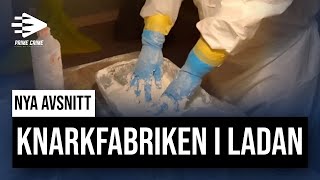 Operation Kuba Knarkfabriken i ladan  Elin Tilltalad Inspelning 4 [upl. by Auohc464]