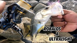 PESCA ULTRALIGHT DE ROBALITOS EN ESCOLLERA [upl. by Eleon798]