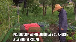 Producción agroecológica y su aporte a la biodiversidad TvAgro por Juan Gonzalo Angel Restrepo [upl. by Yrdua]