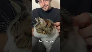 Selon la science avoir un chat c’est bon pour la santé  chat animaux apprendre [upl. by Elsinore]