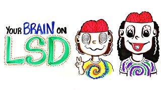 Your Brain on LSD and Acid [upl. by Kayla]