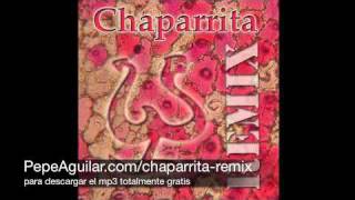 Pepe Aguilar  Chaparrita Sonidero Nacional Remix [upl. by Hillman166]