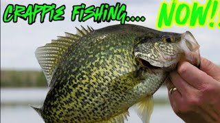 Early May Crappie Fishing With Minnows  Crappie Fishing Tutorial [upl. by Omik]