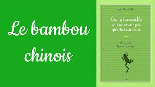 Le bambou chinois  la préparation dans lobscurité Olivier Clerc [upl. by Laing968]